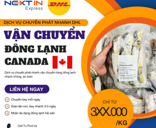 Vận chuyển đông lạnh đi Canada – Gửi nhanh cùng dịch vụ DHL