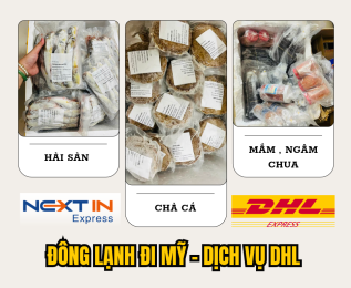 DHL Gửi Hải Sản Đông Lạnh Đi Mỹ Chỉ 350K/Kg | NEXT IN EXPRESS